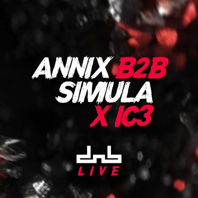 Annix B2B Simula & IC3