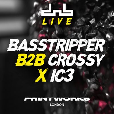 Basstripper B2B Crossy & IC3