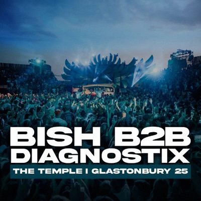 Bish b2b Diagnostix w