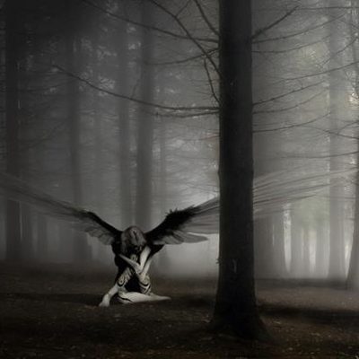 Fallen