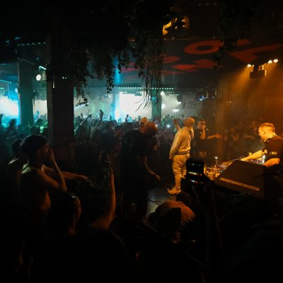 Logan D, Eksman, Shabba, Spyda & Dreps